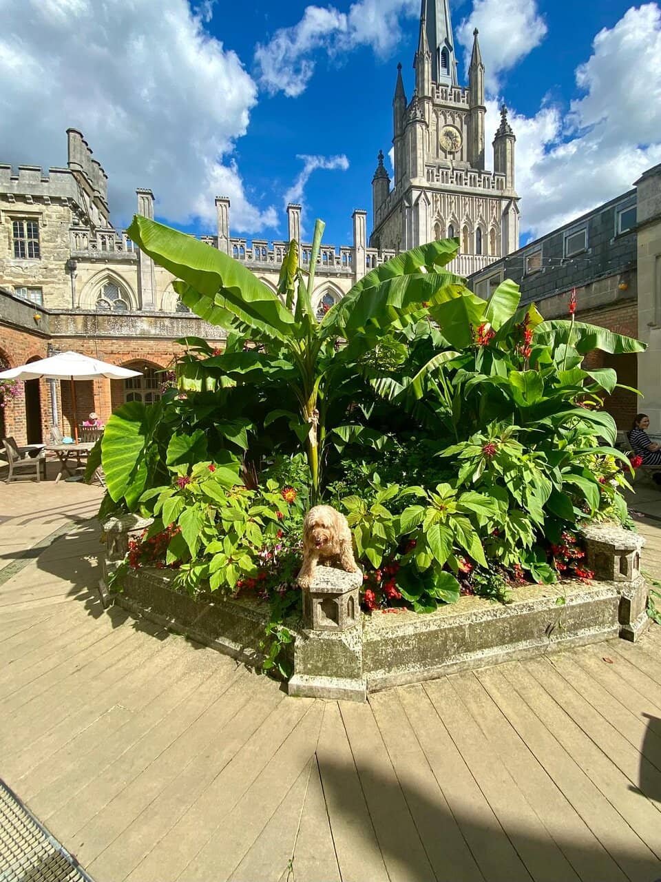 Formal Historical Gardens