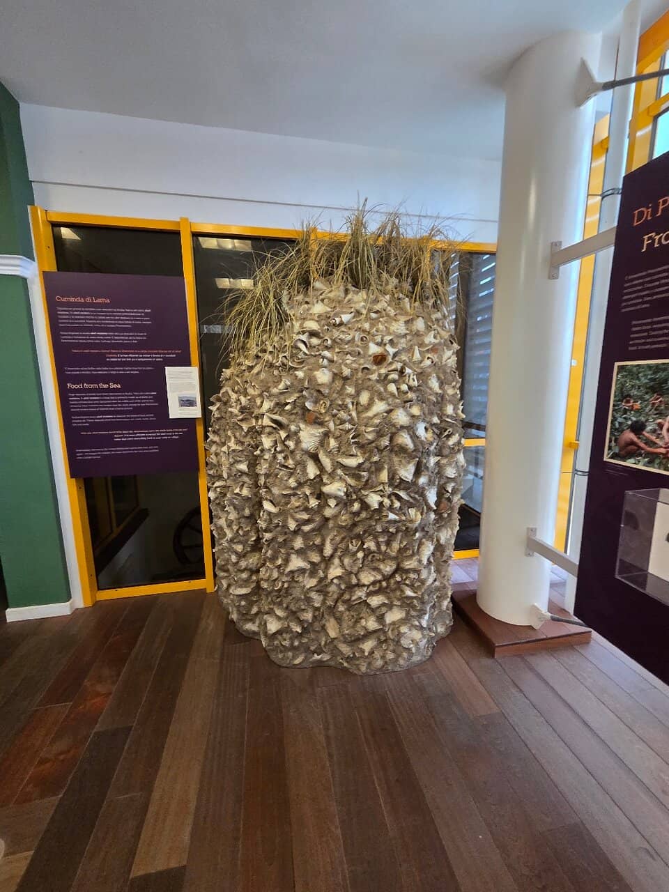 Amerindian Artifacts