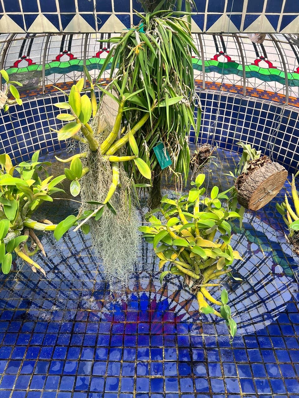 Natural History Museum