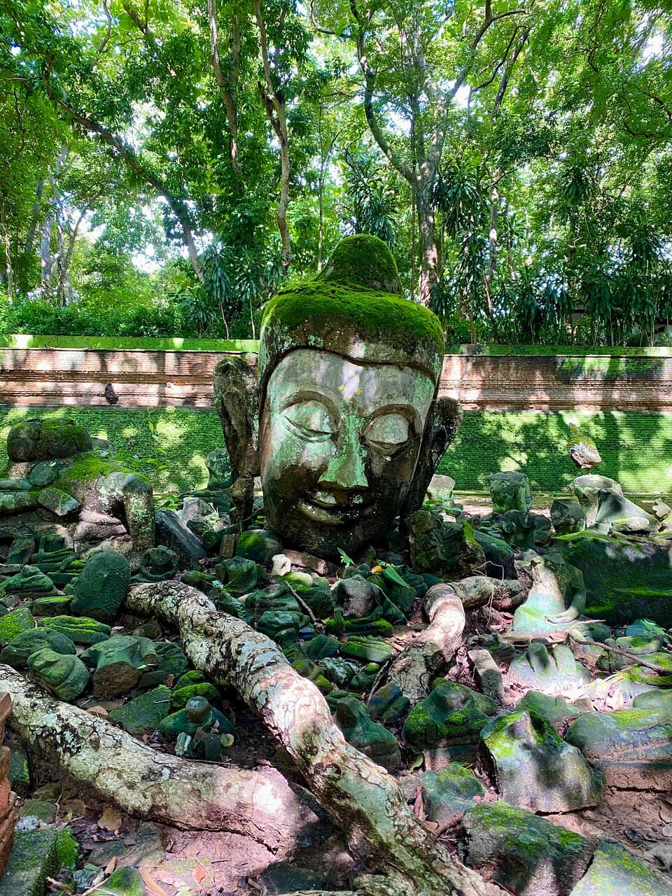 Peaceful Grounds