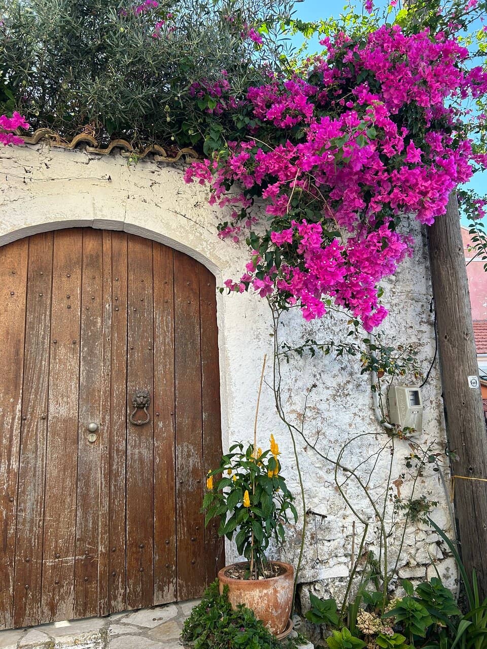 Crystal Clear Snorkeling