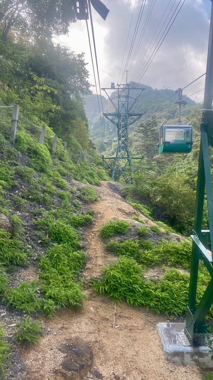 Vertical photo