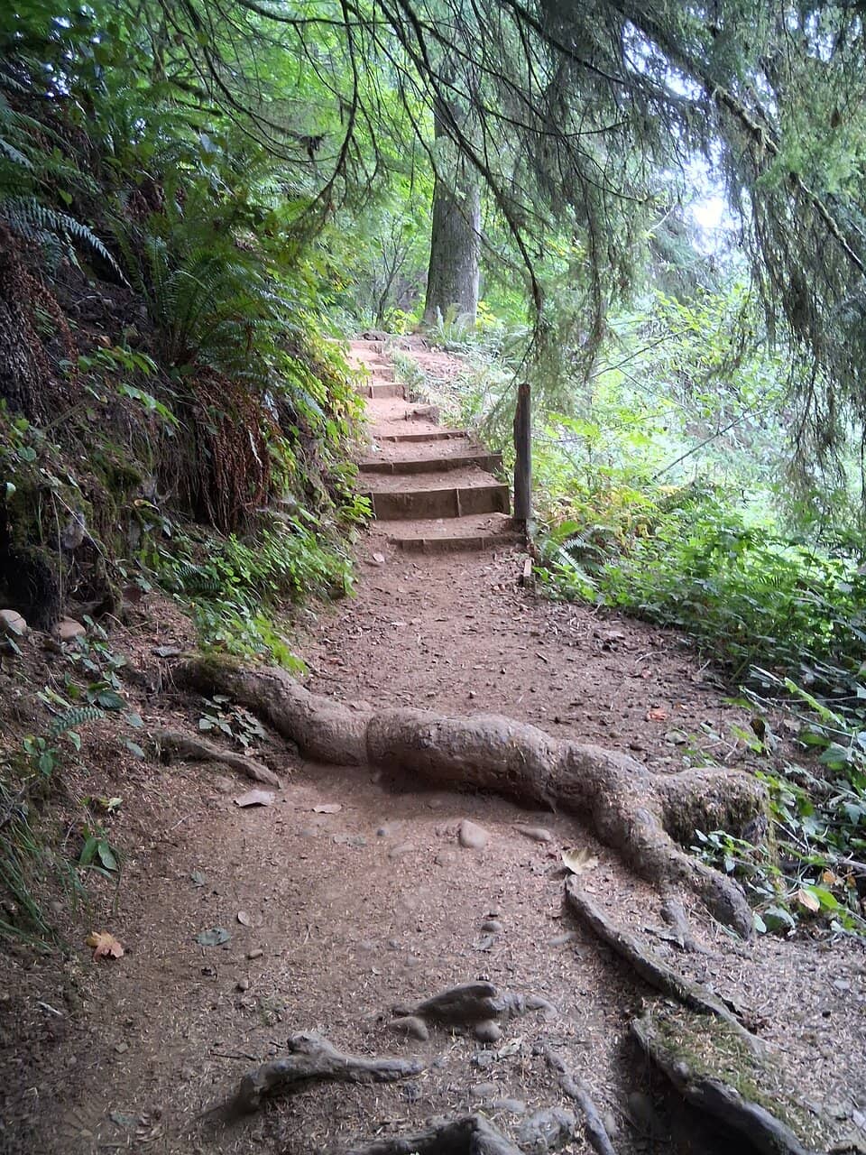 Vertical photo