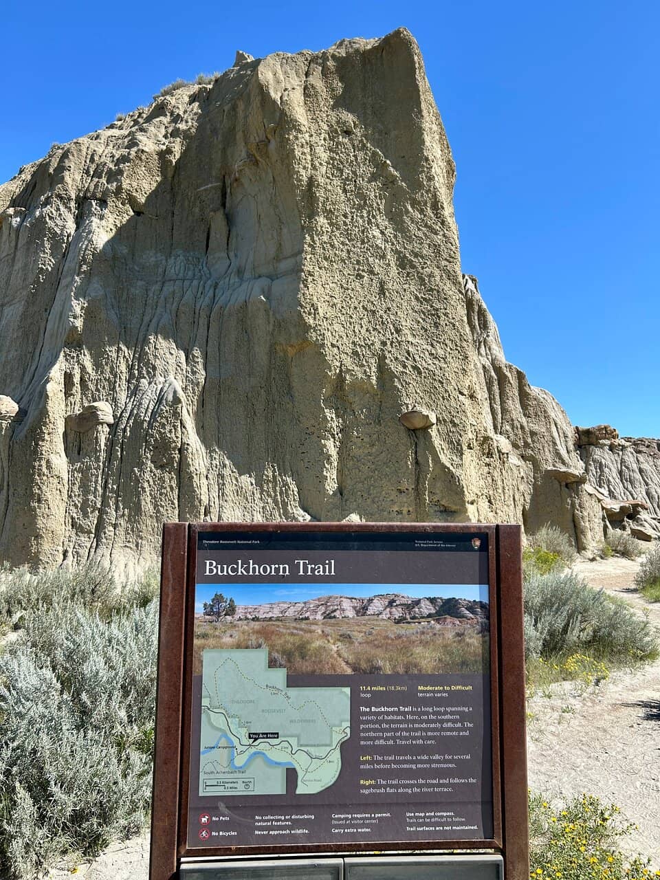 Buckhorn Trail Access