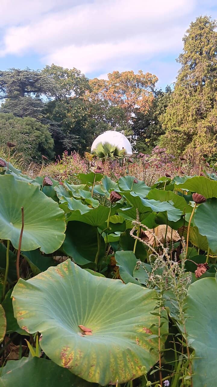 Family Gathering Spot