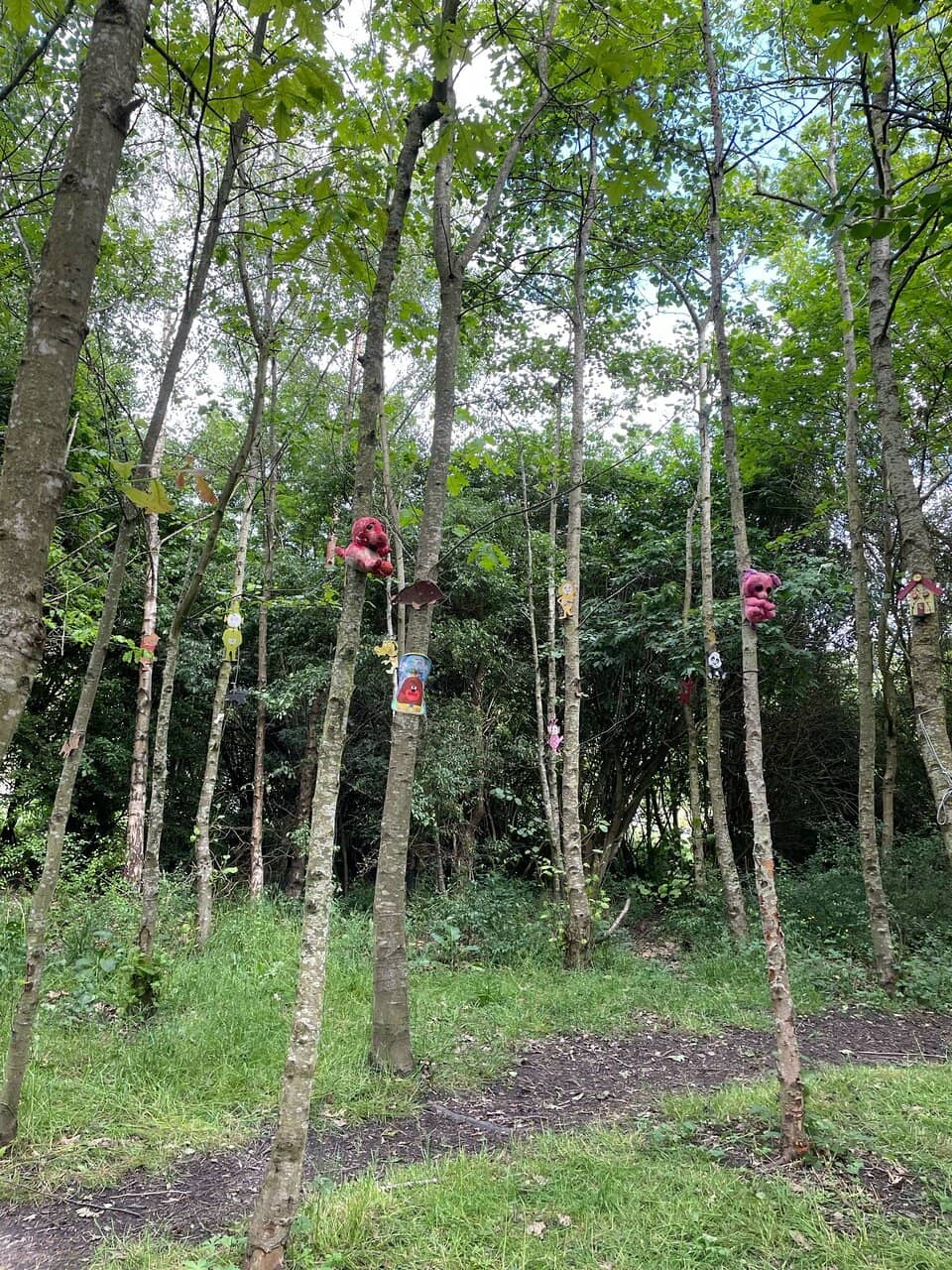 Woodland Walk & Faerie Den