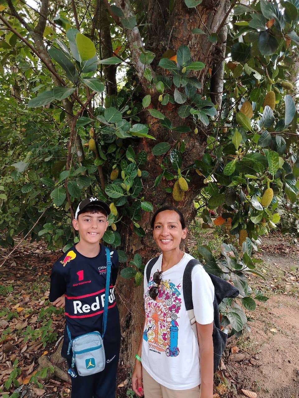 Guided Plantation Tour