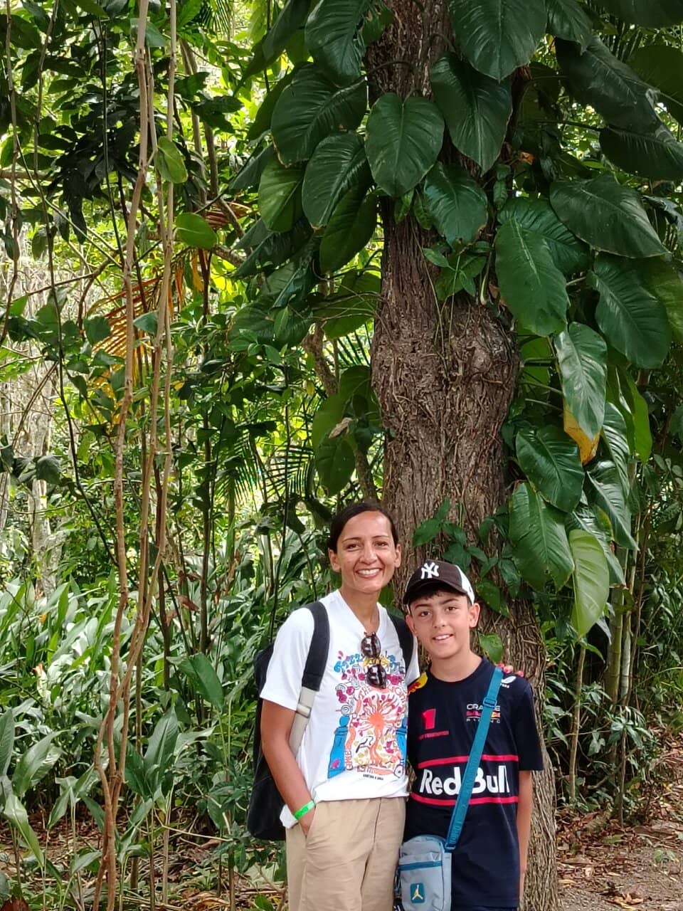 Peacocks and Scenic Views