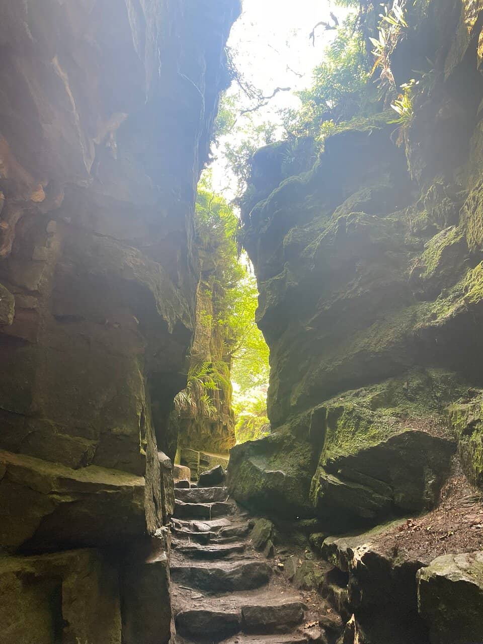 Vertical photo