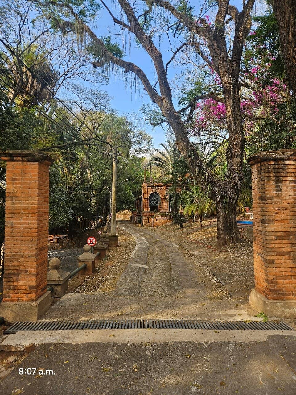 Pinacoteca Municipal