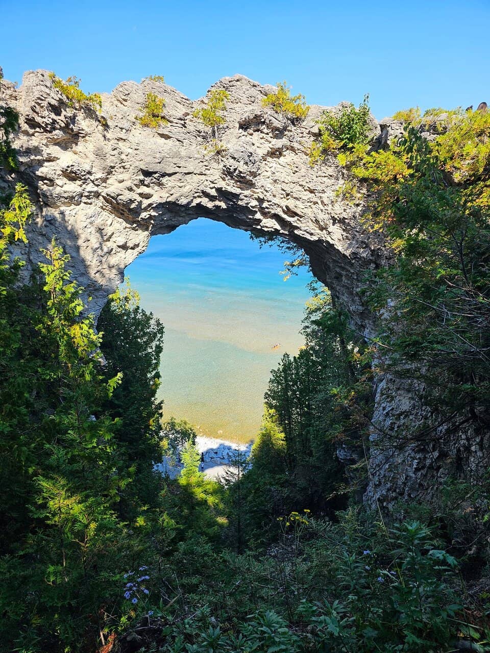 Vertical photo