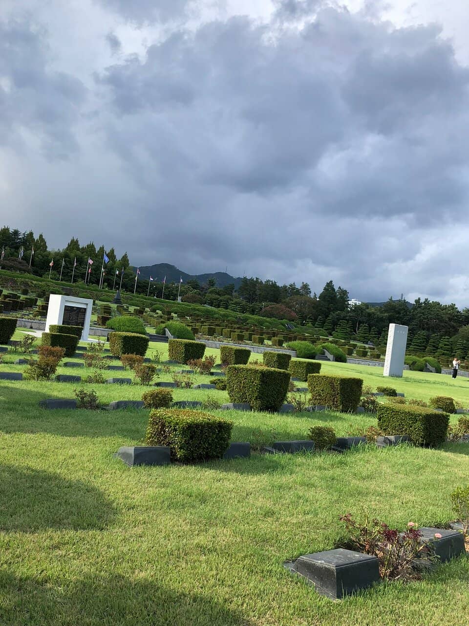 Well-Maintained Grounds