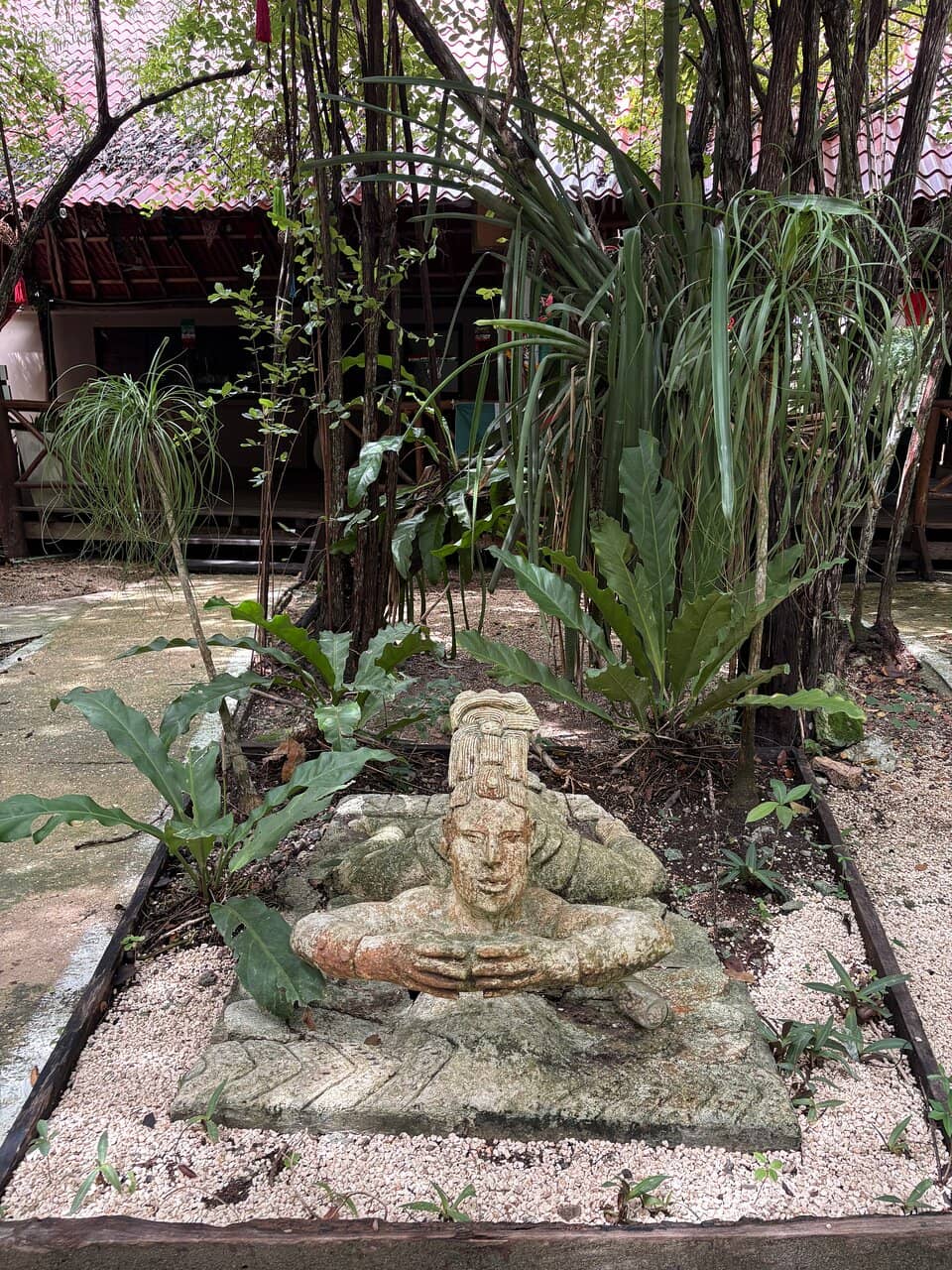 Thrilling Zipline Adventure