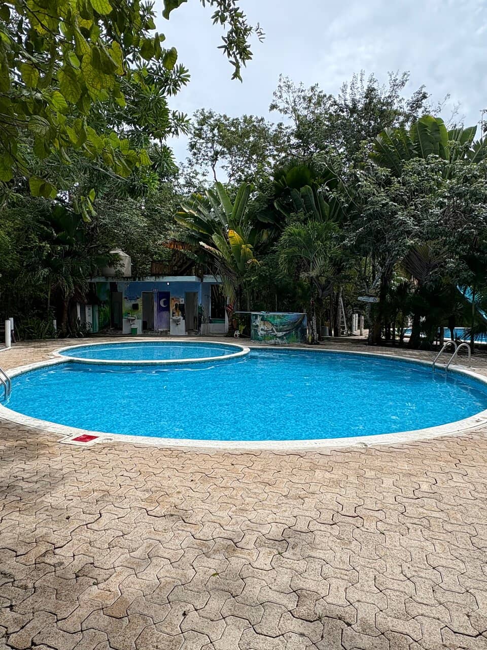 Crystal Clear Swimming