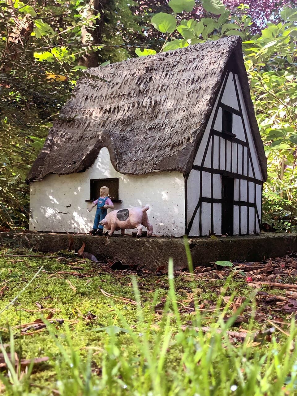 Interactive Quiz & Gnome Hunt