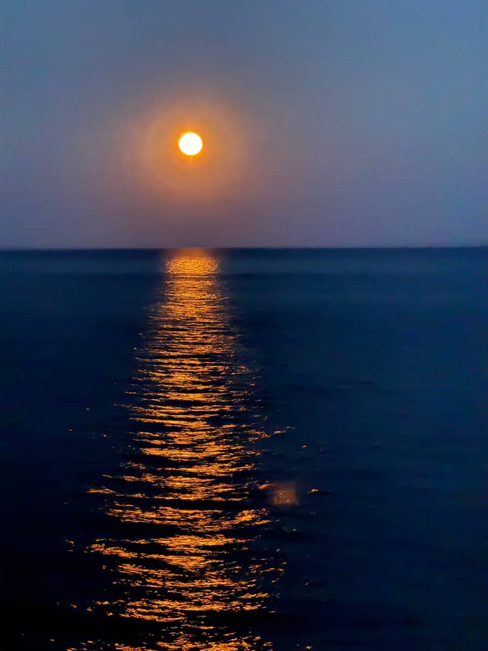 Vertical photo