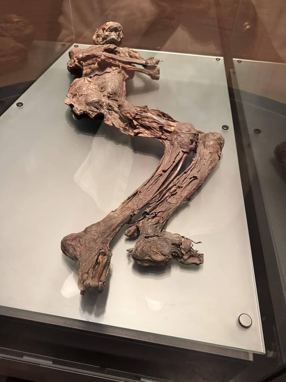 Archaeological Methods Explained