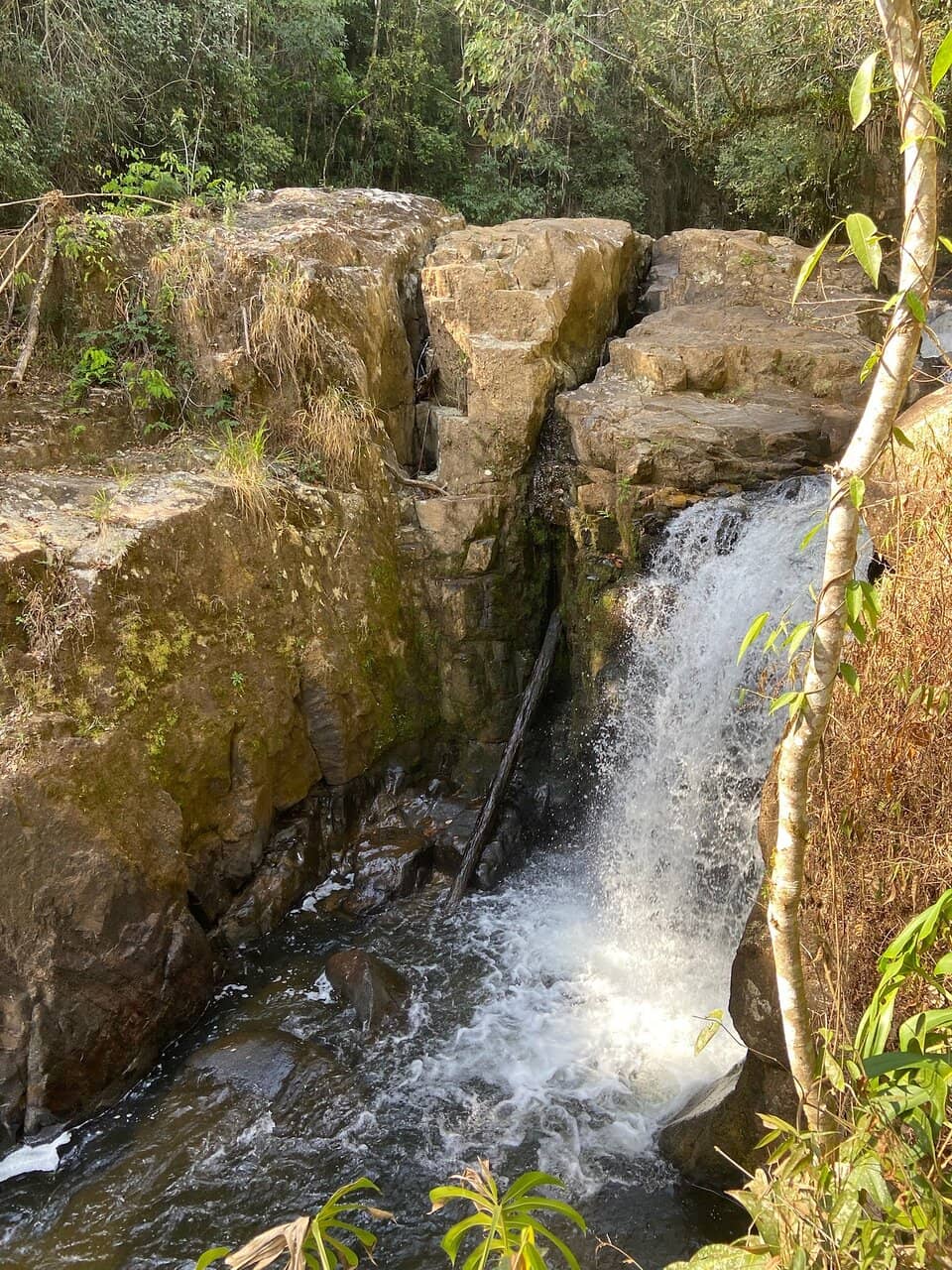 Vertical photo