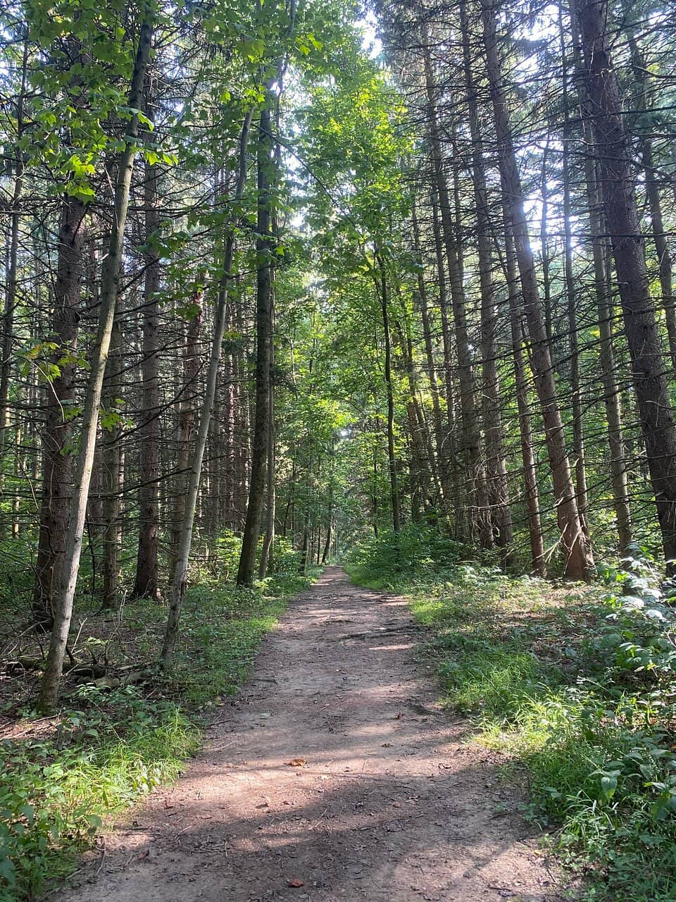 Nature for All Trail