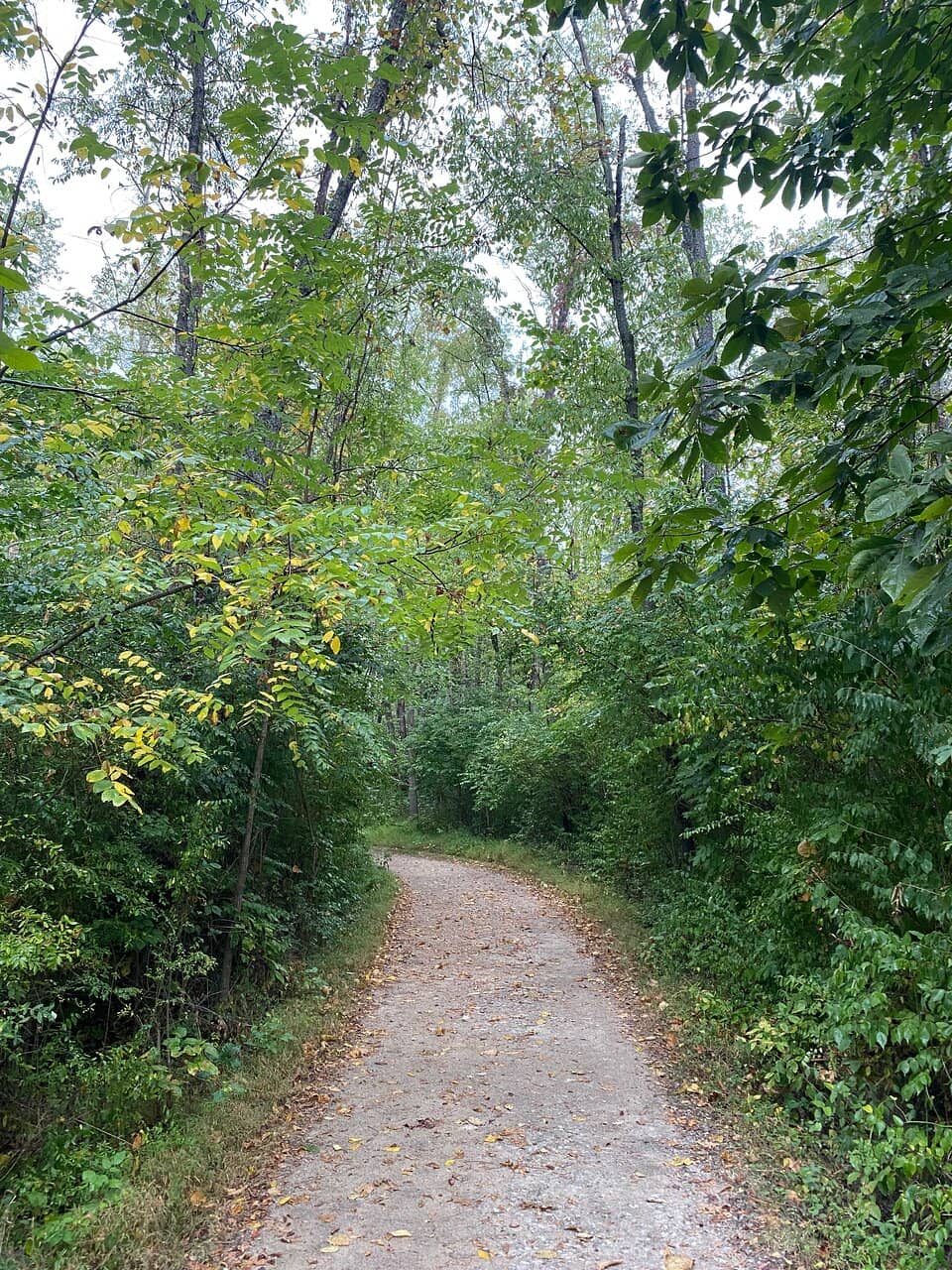 River Overlook Trail