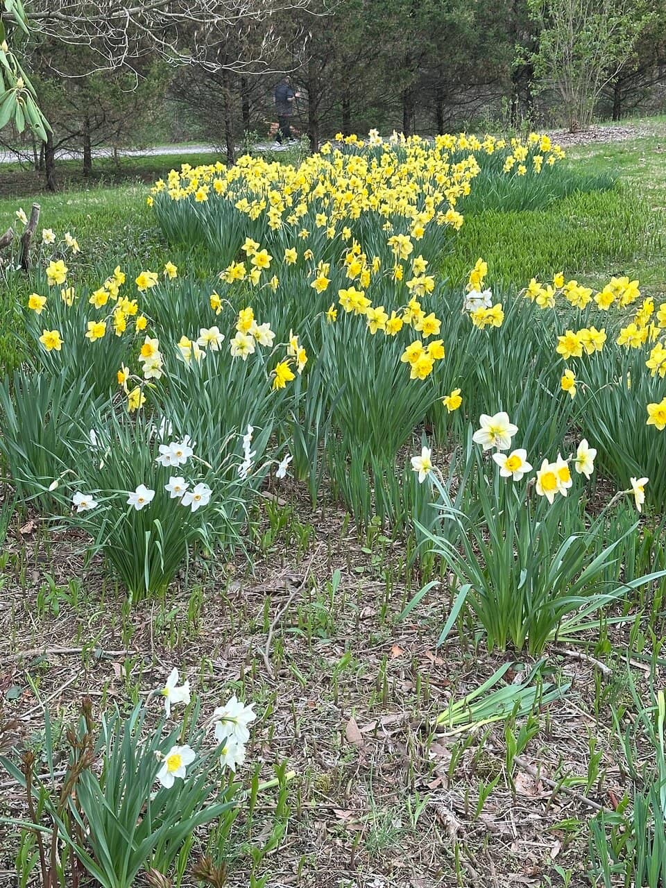 Val-Kill Cottage Tour