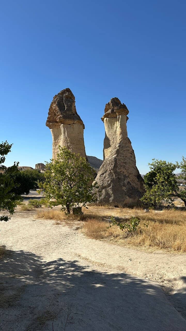 Vertical photo