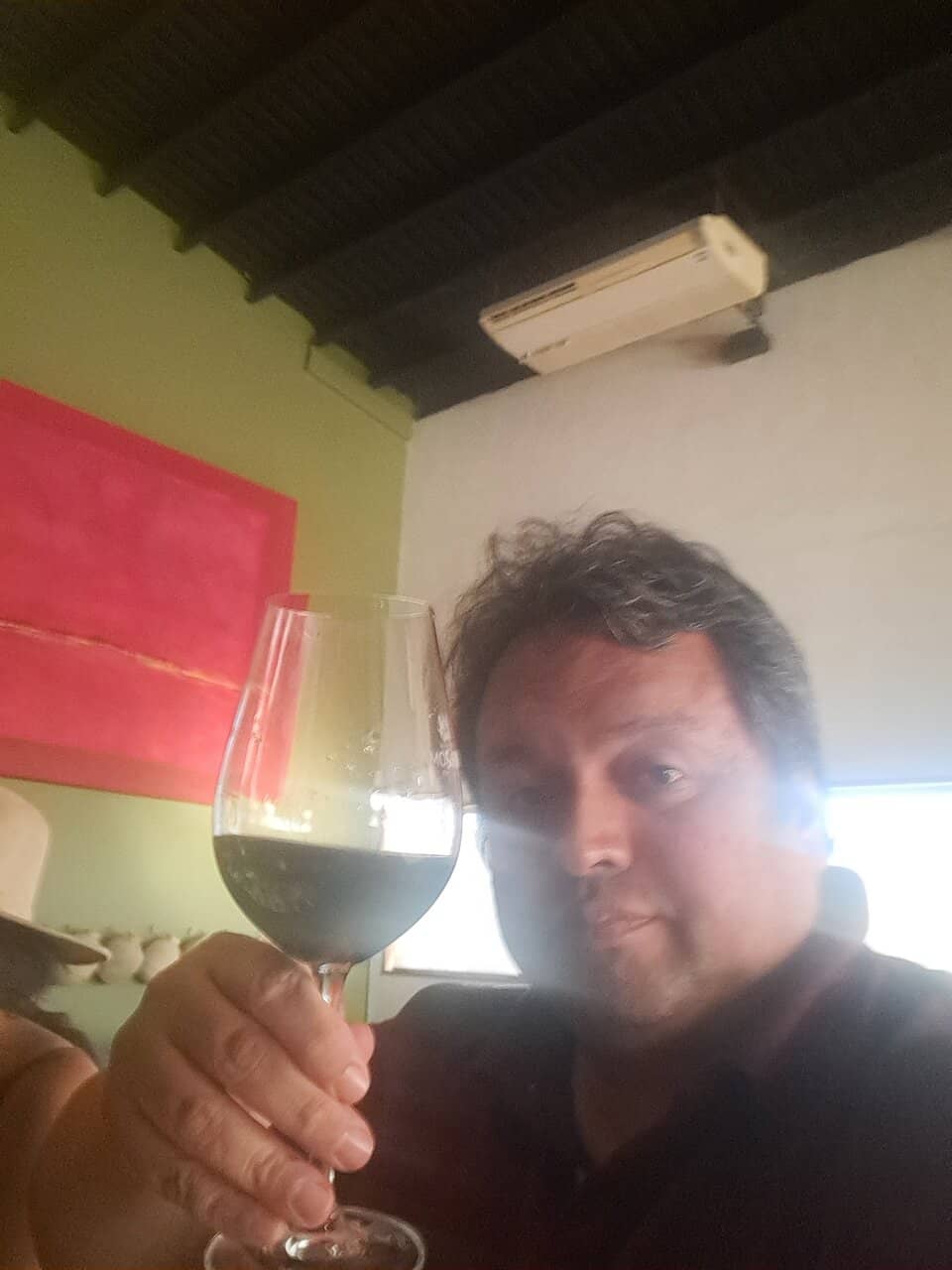 Wine Tasting at Bodegas de Santo Tomás