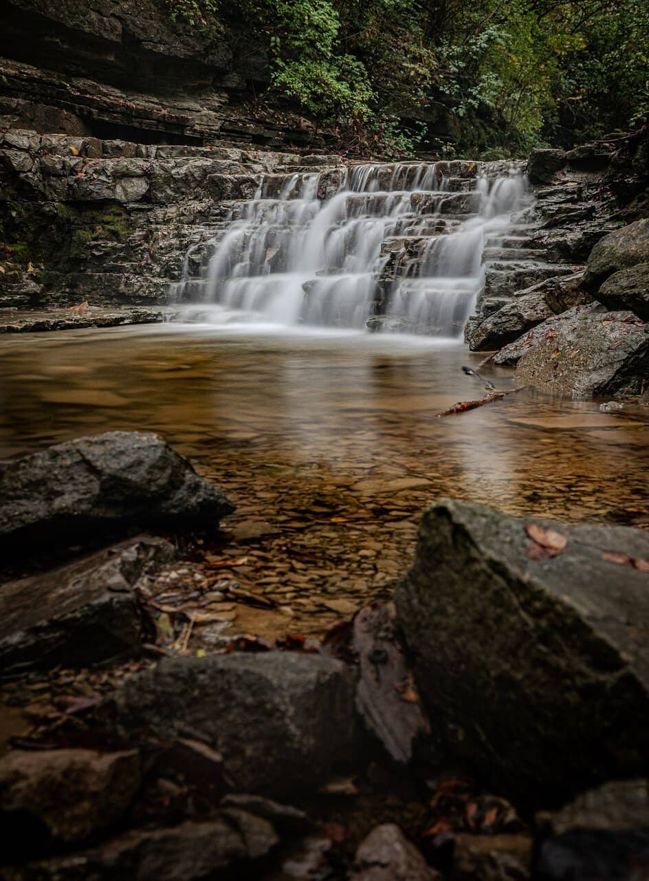 Vertical photo