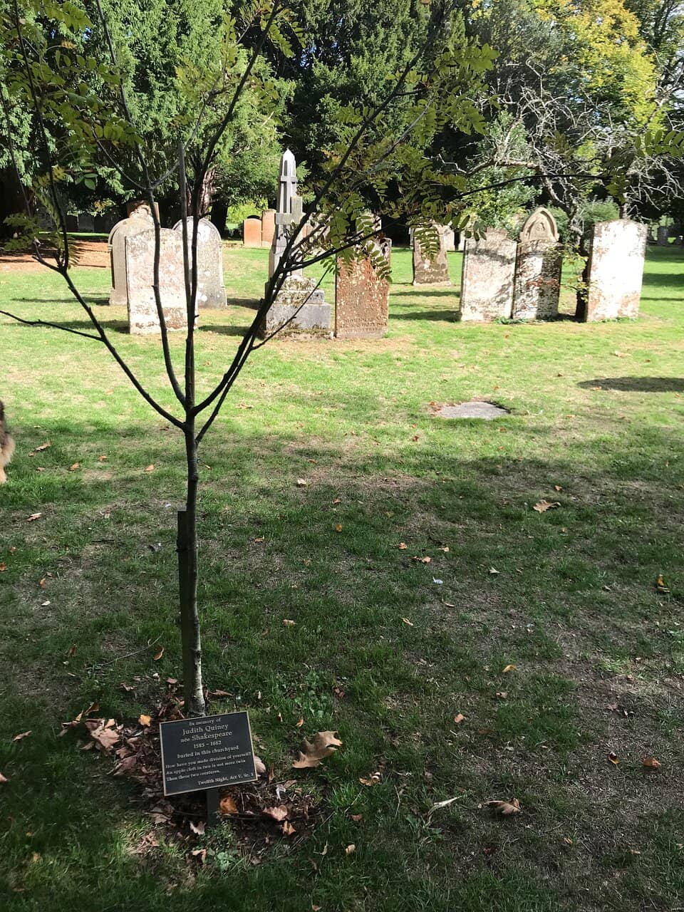 Peaceful Cemetery Grounds