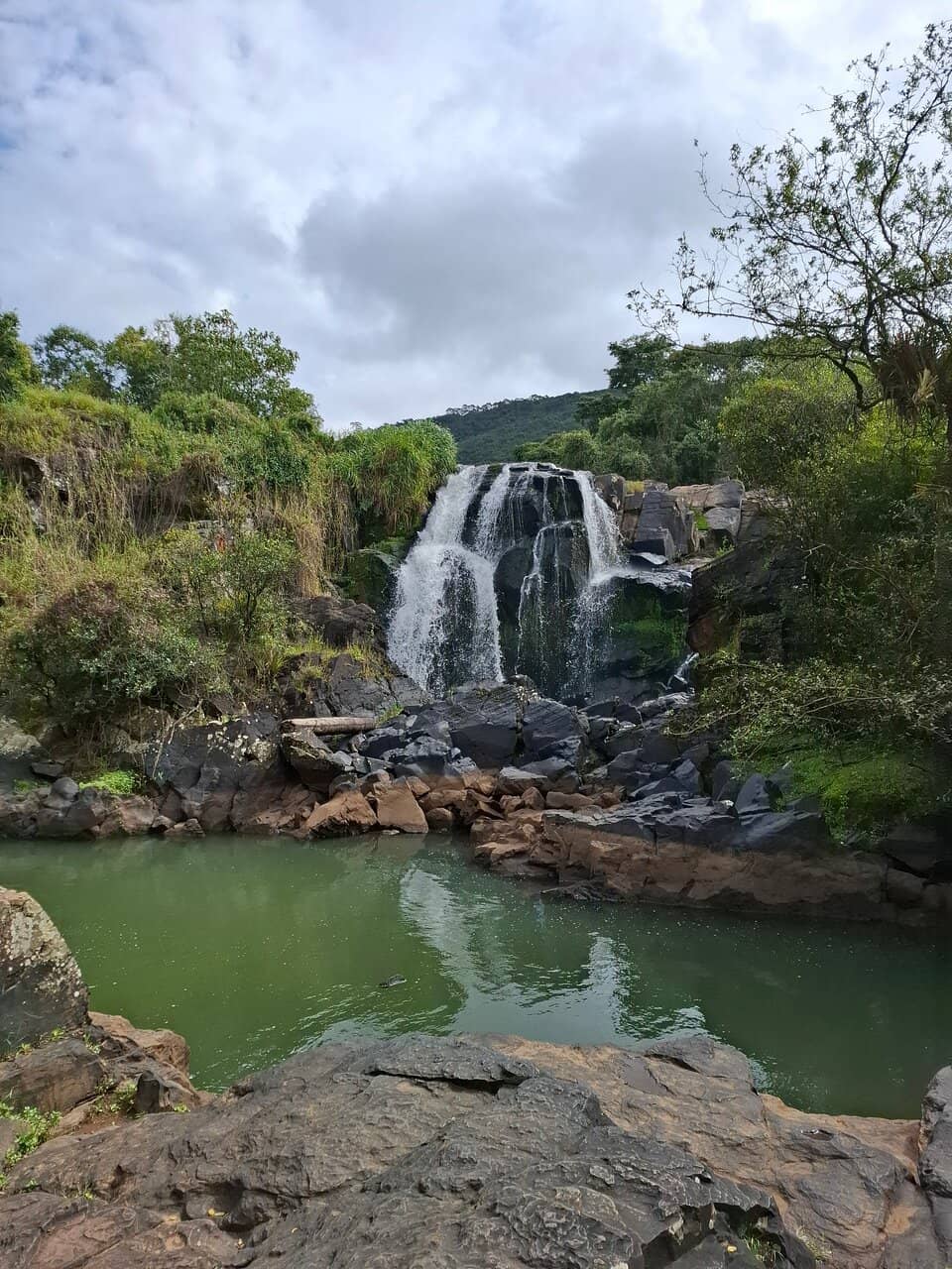 Vertical photo