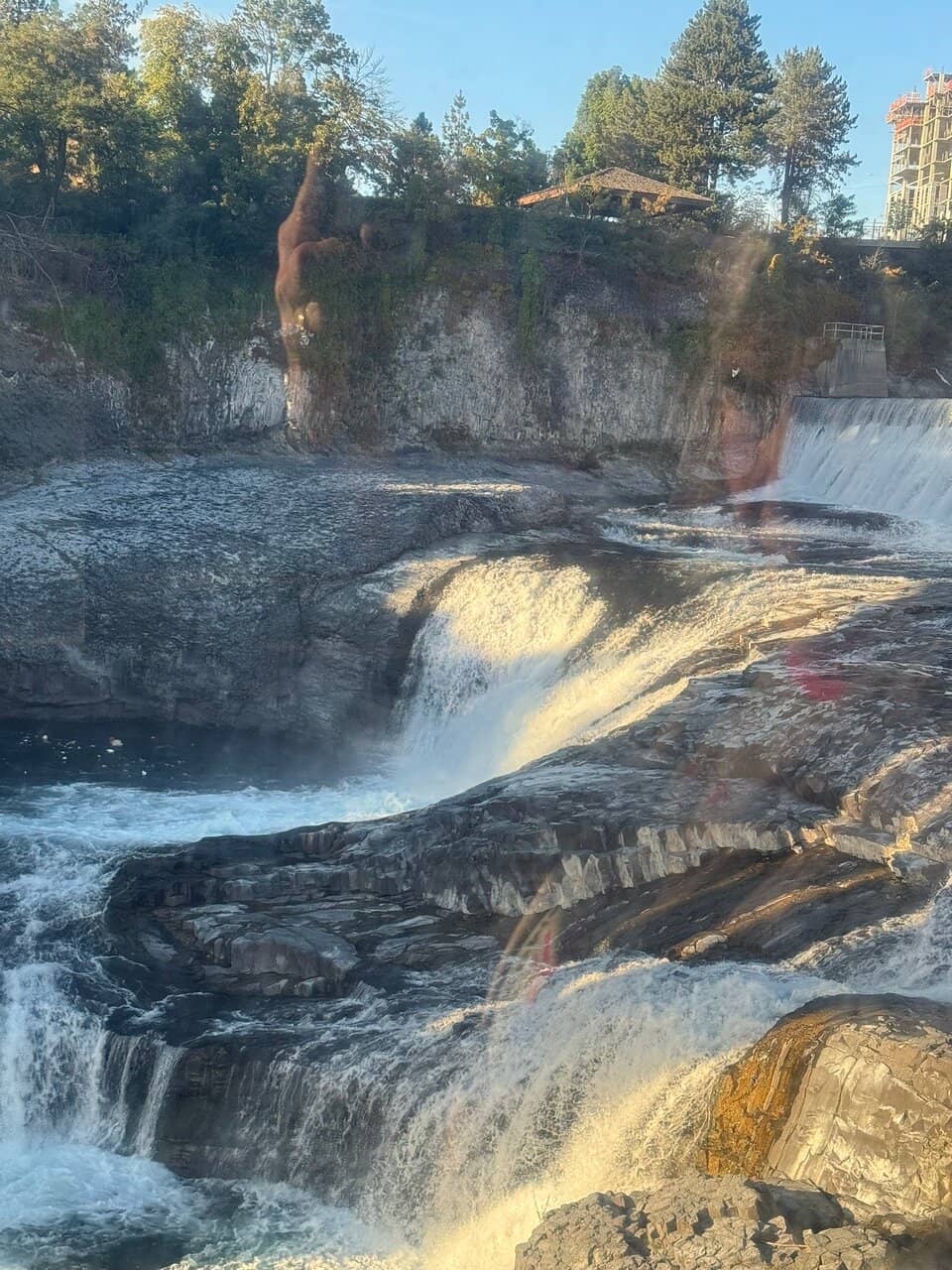 Vertical photo