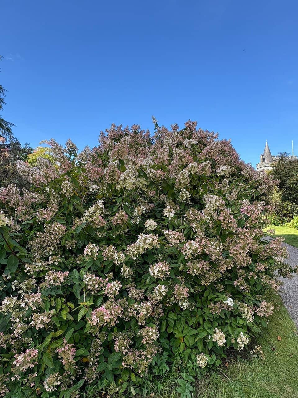 Formal Gardens