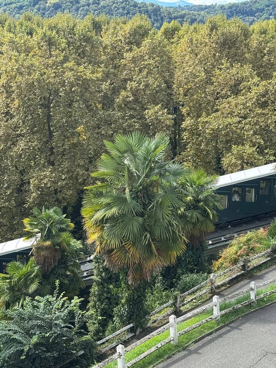 Château de Pau Access