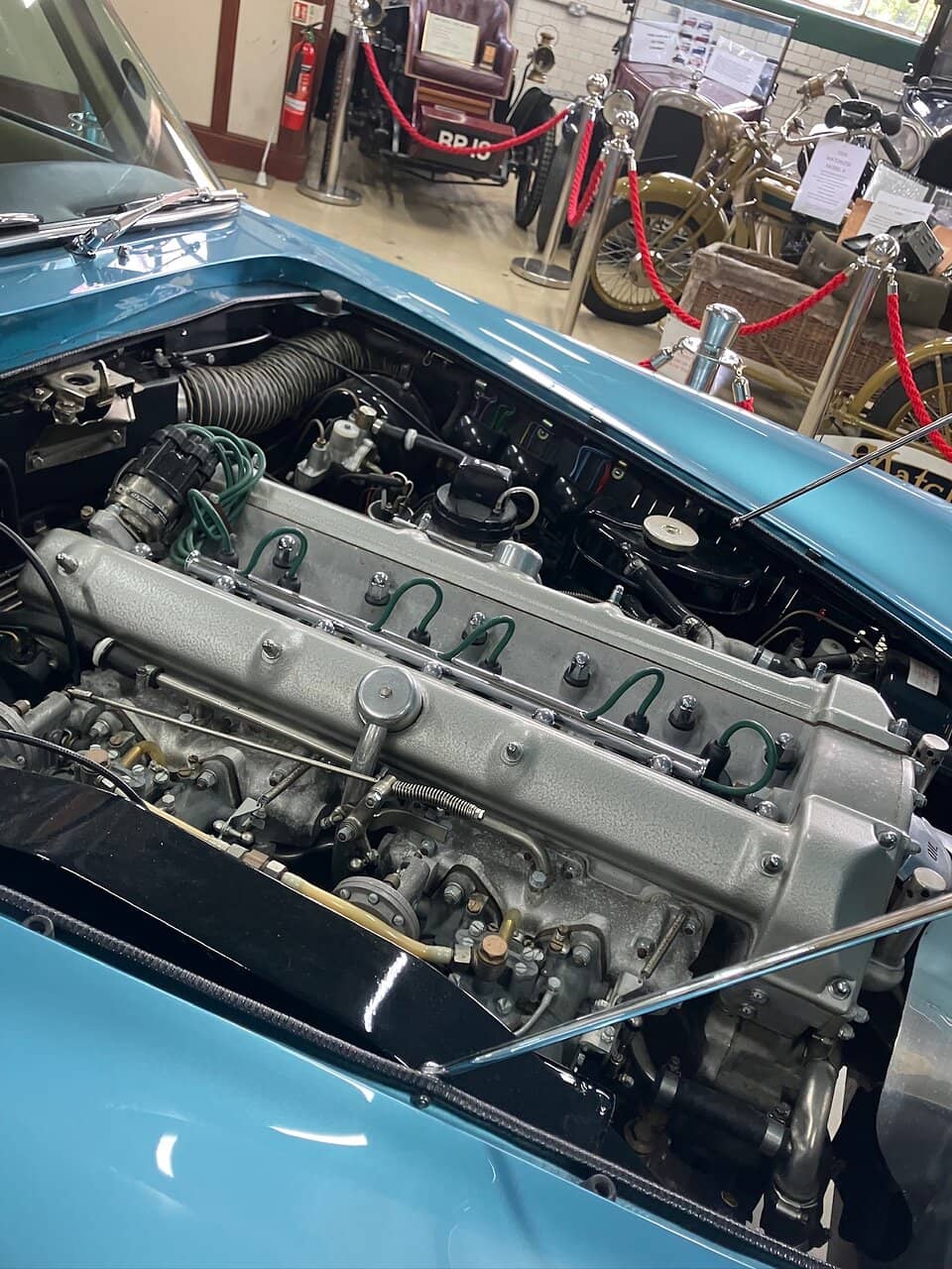 Biodiversity Hotspot