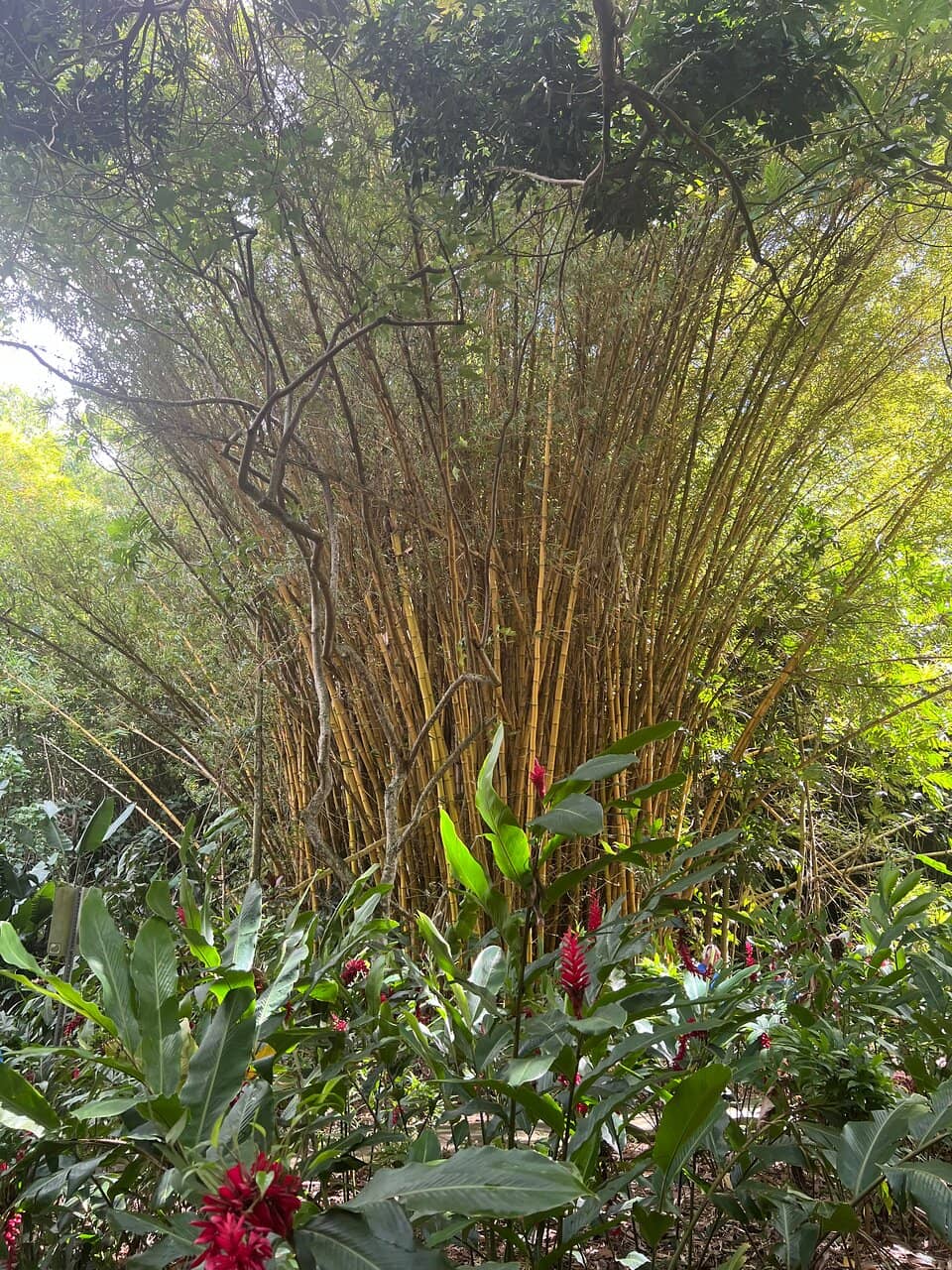 Vertical photo