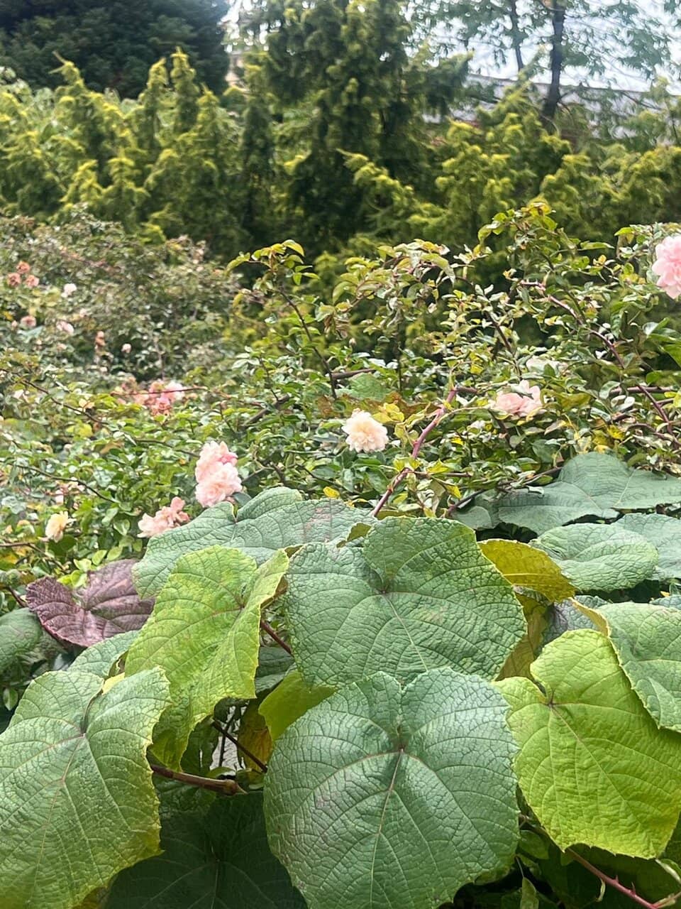 The Indian-inspired Architecture