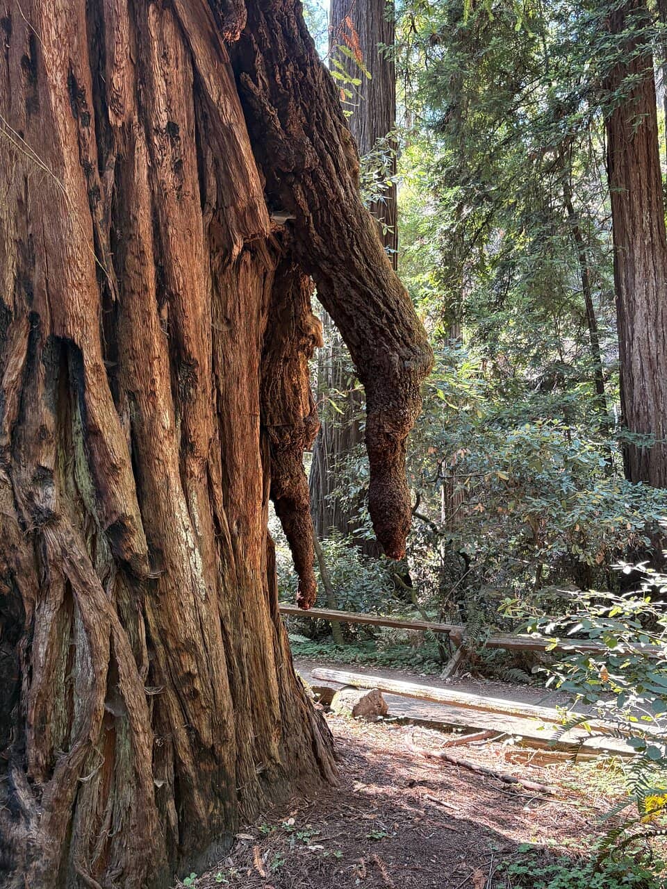 Vertical photo