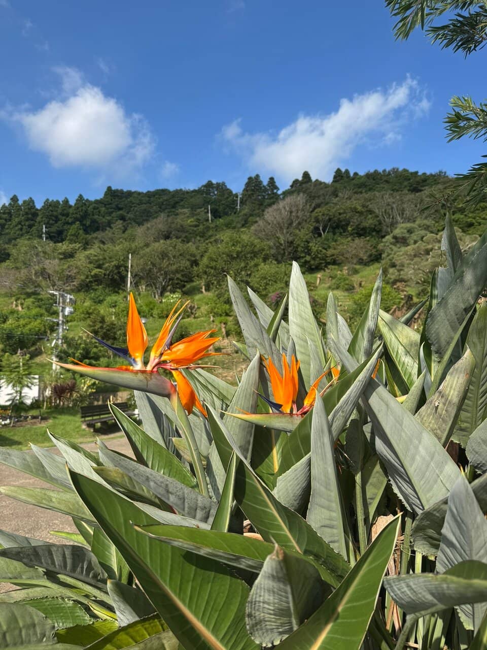 Panoramic Ocean Views