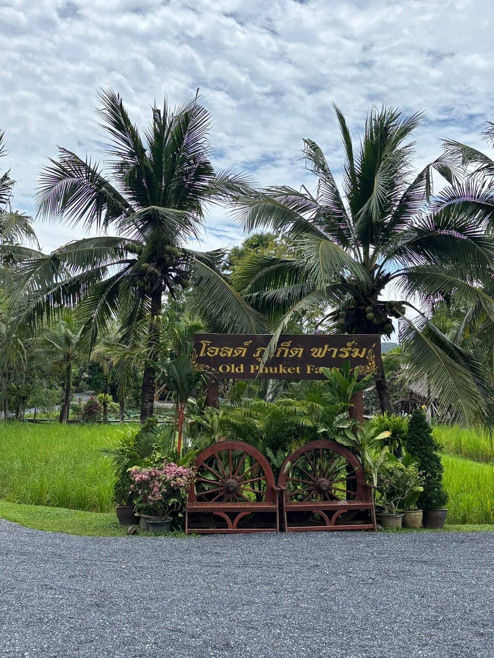 Authentic Thai Cooking Class