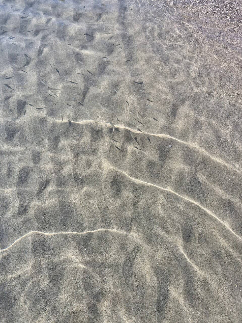 Powdery Beige Sands