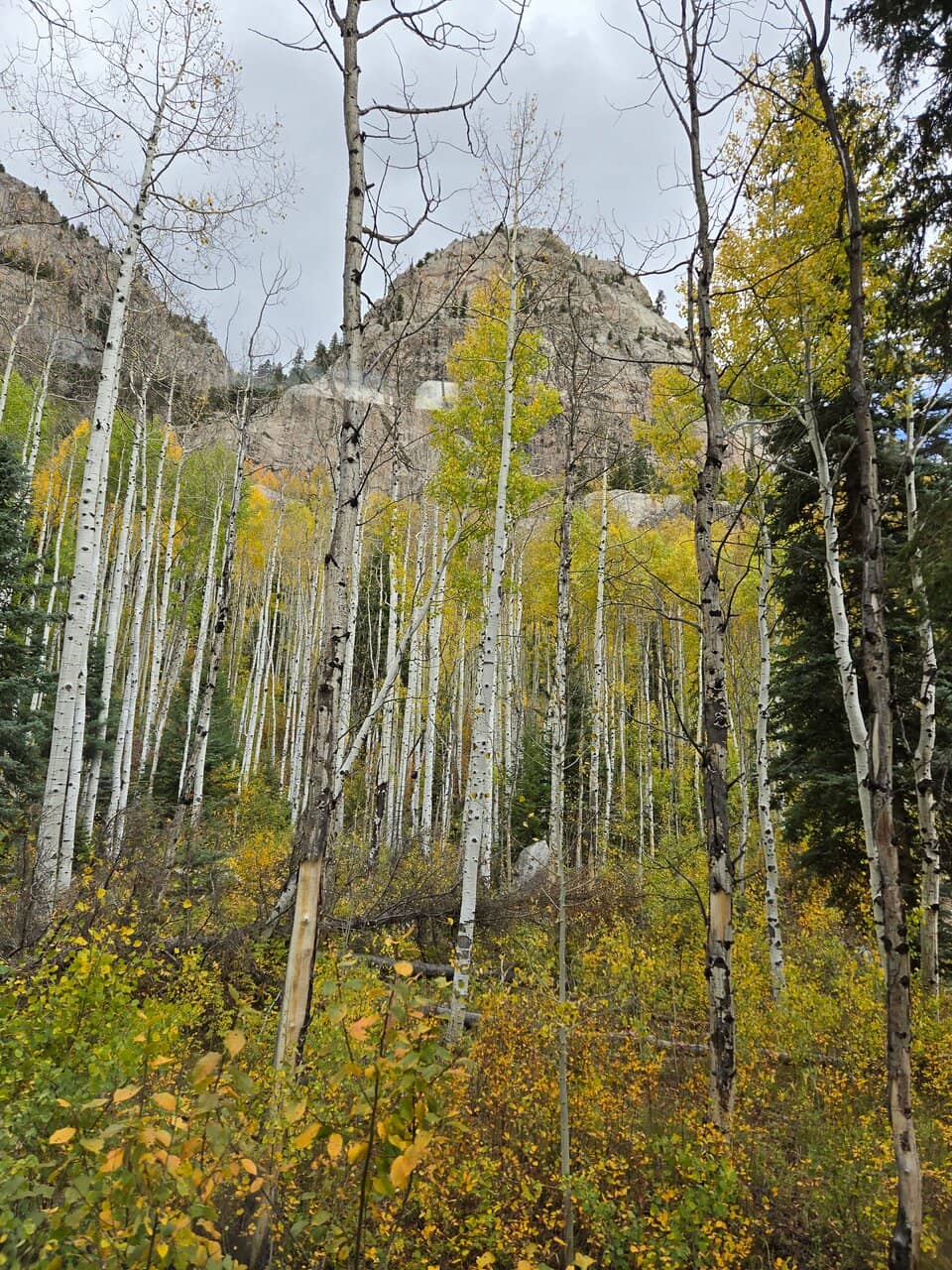 Durango & Silverton Narrow Gauge Railroad