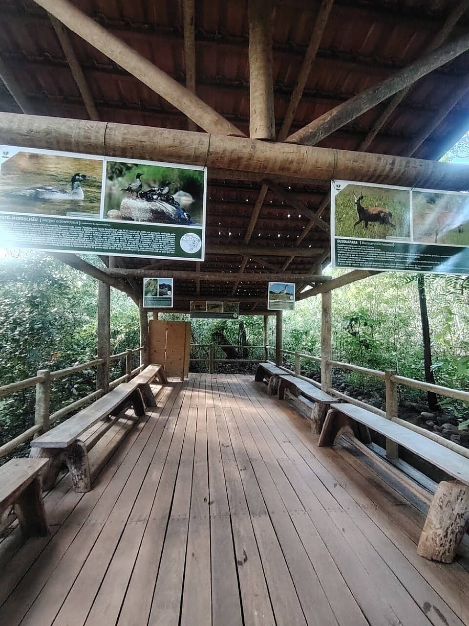 Sussuapara Waterfall