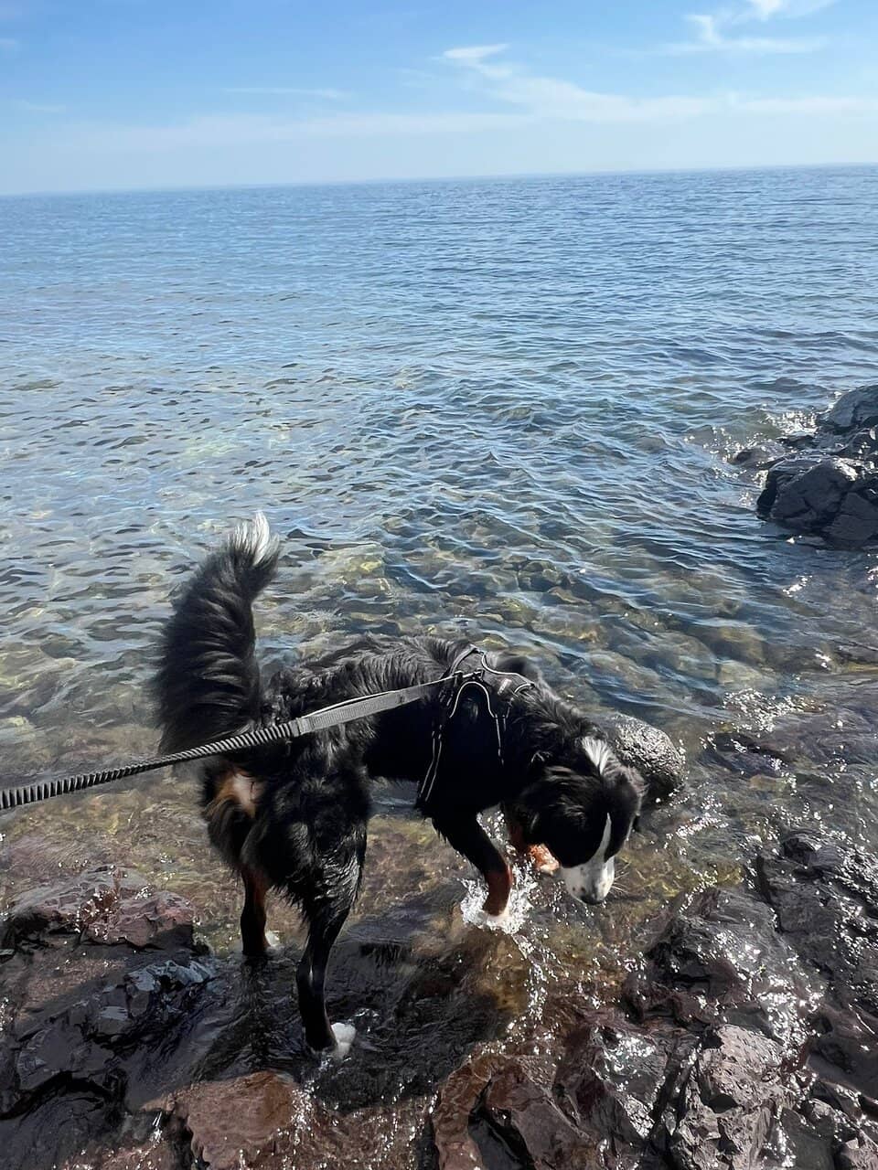 Vertical photo