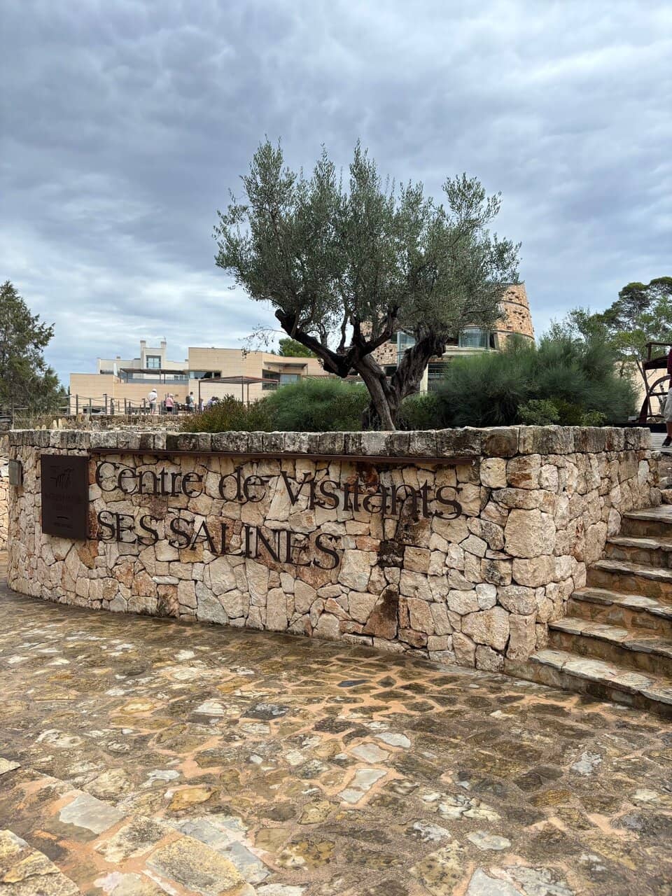 Cavern-Style Viewing Tank