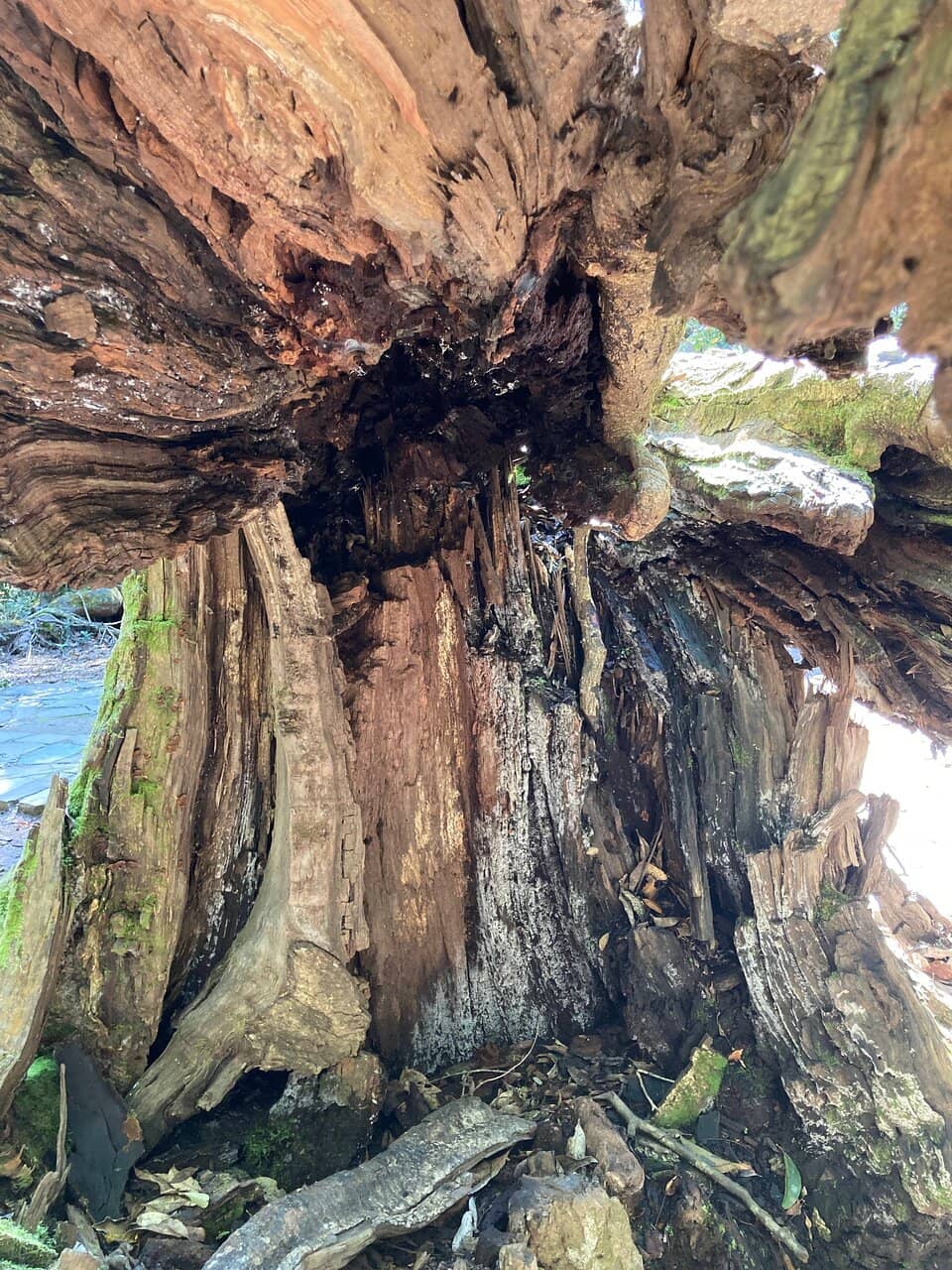 Vertical photo