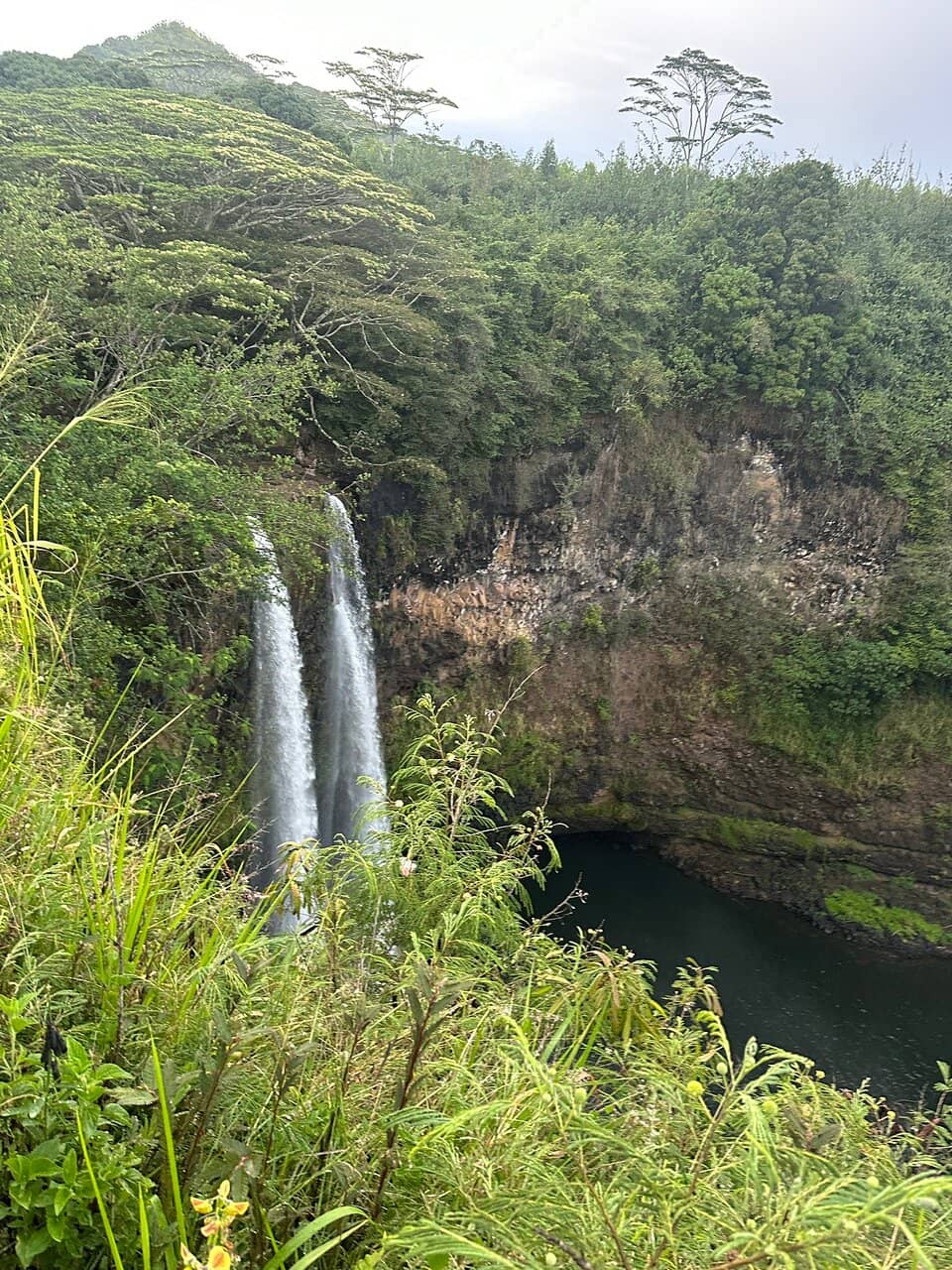 Vertical photo
