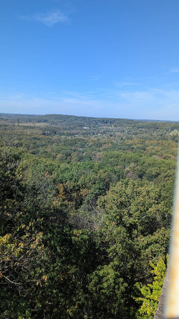 Vertical photo