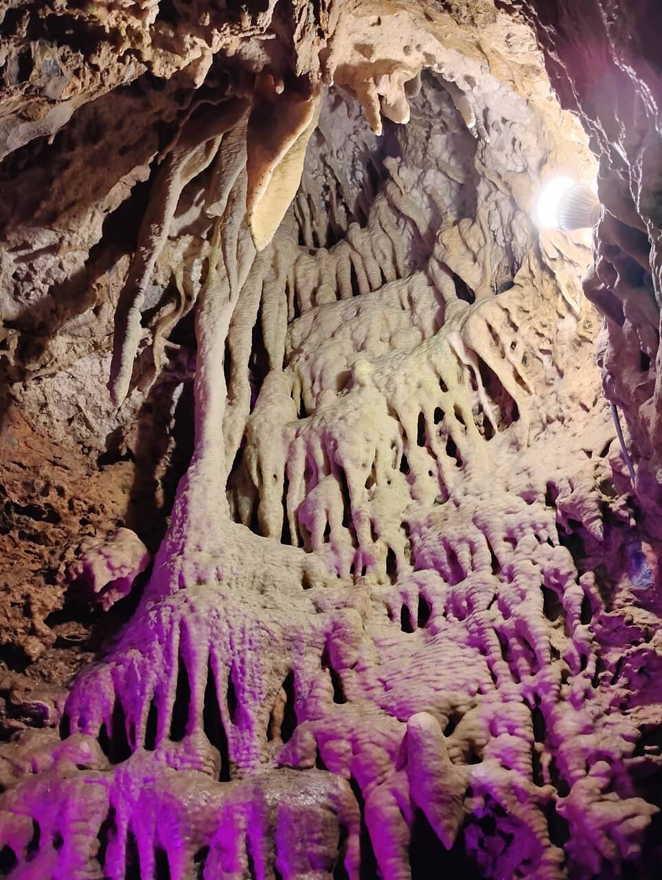 Informative Guided Tours