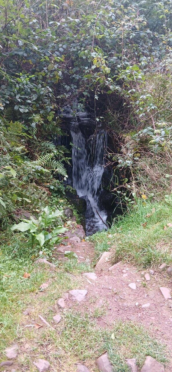 Campfire & Picnic Tables