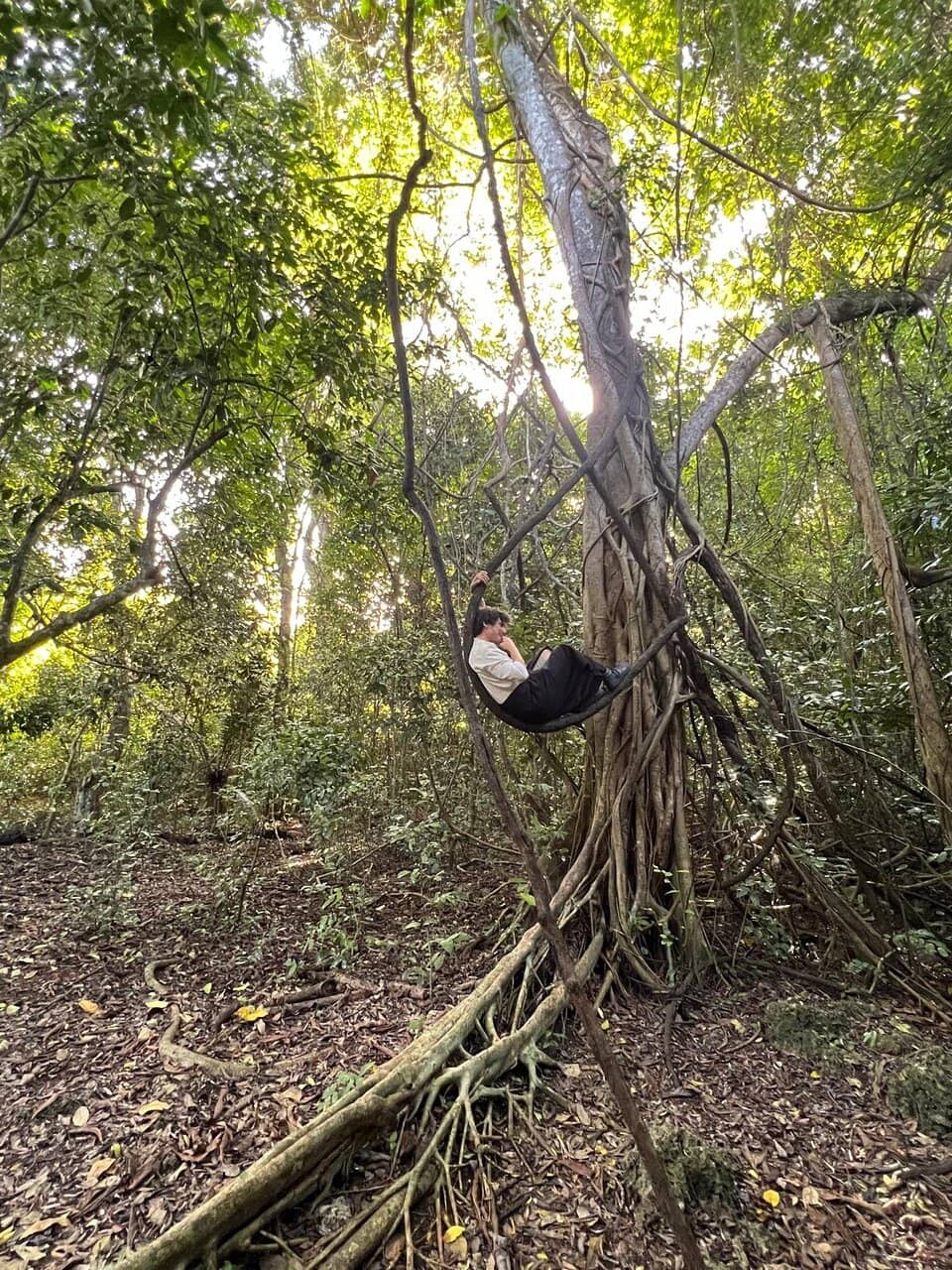 Vertical photo
